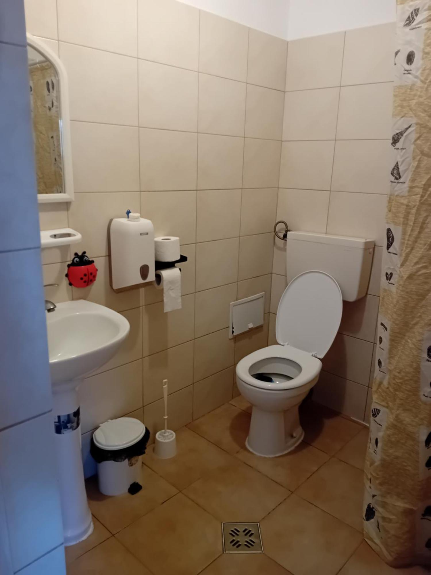 Lebada Neagra Otel Schitu Dış mekan fotoğraf